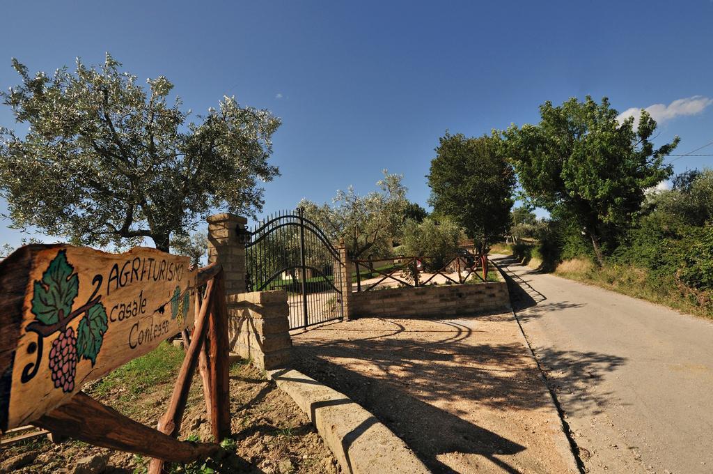 Agriturismo Casale Contessa Montebuono  Exteriör bild